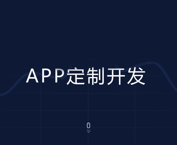 APP定制开发